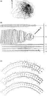 Chapter 6. Shaking the Earth: from volcanology to seismic surveys |  Geological Society, London, Memoirs