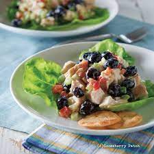 Gooseberry Patch Recipes Blueberry Chicken Salad From Delicious Recipes For Diabetics Cookbook Blueberry Chicken Great Salad Recipes Recipes