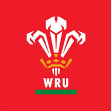 We also distribute free vectors from other artists who want to showcase their work to our visitors. Wales Rugby Logos