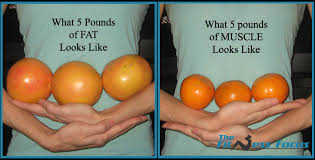 How To Measure Body Recomposition Your True Progress