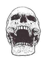 123rf - Millions Of Creative Stock Photos Vectors Videos And Music Files For Your Inspiration And Projects Skull Drawing Skull Sketch Skull