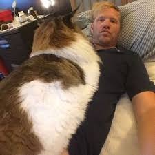 Use the search tool below and browse hip dysplasia: Pin On Maine Coon Cats