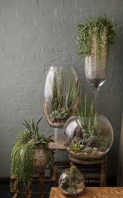 Questa mini fioriera per piante grasse, cactus o qualsiasi altra pianta porterà toni di intimità a casa tua! 50 Ottime Idee Su Appendere Piante Grasse Nel 2021 Appendere Piante Grasse Piante Piante Grasse