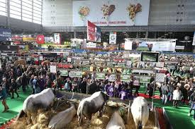 La vitrine agricole, active du 2 au 28 février 2021. Salon De L Agriculture A Paris Panorama De L Agriculture Bretonne