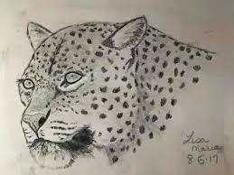 You will learn so much from him. Graphite Mark Crilley Tutorial On Youtube Animal Tattoo Drawings Animals