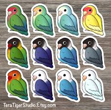 Lovebird Lover S Sticker Pack White Face Blue Wild Etsy Cute Birds Love Birds Cute Stickers