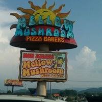 In a small saucepan whisk together water, mighty broth and sea salt, then bring to a simmer. Mellow Mushroom 2485 Parkway
