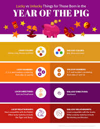 Colorful Year Of The Pig Zodiac Infographic Template In 2020 Pig Zodiac Infographic Templates Infographic