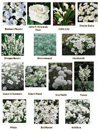 Violet, pink and white flowers. Moon Garden Moon Garden White Gardens White Plants
