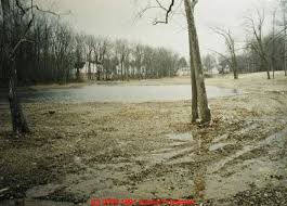 Maybe you would like to learn more about one of these? Septic Leach Field Or Drainfield Failures Home Buyer S Detailed Guide To Septic Systems Buying A Home With A Septic Tank Drainfield Chapter 4 What Goes Wrong With Septic Systems