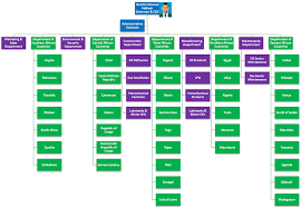 Organization Structure