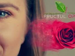 Distributie michaela prosan, petru păun, adrian titieni, carmen tănase, cristina ciobănașu, petru paun. Fructul Oprit Seriale Noi Hd Subtitrate Emisiuni Tv