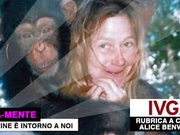 La storia di Travis, lo scimpanzé che sfigurò una donna