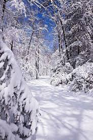 Check spelling or type a new query. Pin By Emmi On Winter Wonderland Winter Scenes Winter Landscape Winter Pictures
