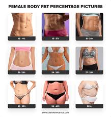 Body Fat Percentage Calculator For Men Women