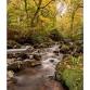 Autumn Colours Walk & Lunch at Gidleigh Park event in Newton Abbot