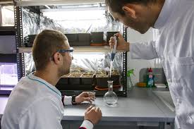 Département de biologie et physiologie des organismes listes master1 bpr. Facultatea De Biologie LicenÈ›Äƒ Admitere 2021 Universitatea Alexandru Ioan Cuza Din IaÈ™i