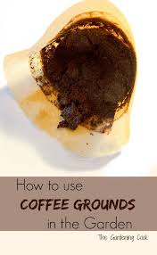 Well, there are quite a few humane solutions that can help you get rid of deer from your garden. Coffee Grounds Are Great For Camellias Hydrangeas Roses