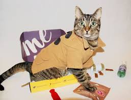 The best way for your cat to enjoy purrboxes. 12 Best Monthly Cat Subscription Boxes Urban Tastebud