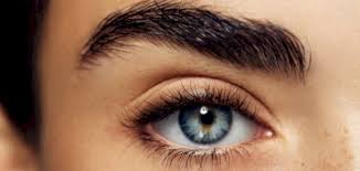 حكم إزالة شعر الحواجب بالشفرة سطور