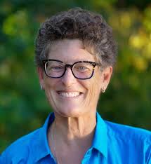 Democratic Elected Officials