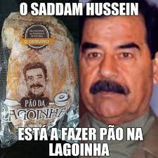 Saddam hussein's hiding place refers to a 2003 infographic by bbc that depicts iraqi dictator saddam hussein's hiding place. Saddam Hussein 9gag