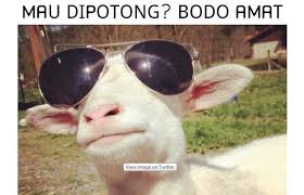Foto Gambar Lucu Meme Idul Adha Di Path Instagram Twitter Cumaberita