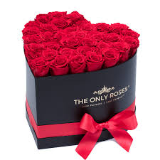 Who Wouldn T Want These As A Gift 3 Dozen Red Roses Preserved Roses Rose Gift Luxury Flowers