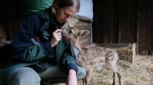 Queenceline erome she didnt sped up the meeting or made it