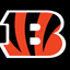 The Cincinnati Bengals