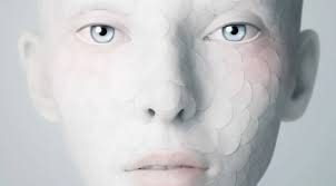 Adobe CS6 Artist Series