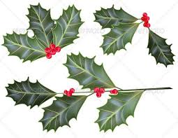 Holly Leaves And Berries Holly Plant Holly Leaf Plant Tattoo