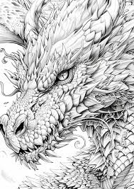 Dragons Coloring Book Grayscale (Printbook) – Monsoon Publishing USAu003cmeta  name="keywords" content="coloring books for adults, grayscale coloring  books, digital coloring pages download, zentangle coloring books, journals  notebooks" /u003e