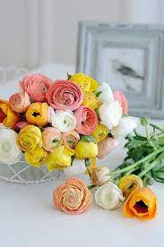 Pin On Beautiful Flowers