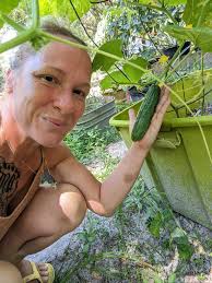 Why are some cucumbers not fully maturing and what is the ideal color for  harvesting in SouthEast Texas?