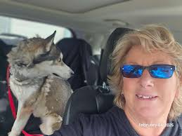 Manteca animal shelter dogs at risk of euthanasia