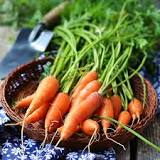 Image result