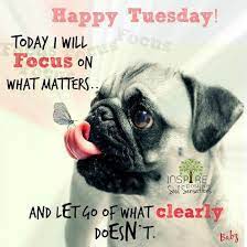 Pin On Week Days Quotes