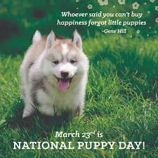 Mar 23, 2021 at 11:52 am. National Puppy Day Manassas