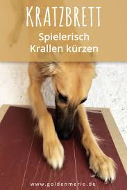 Zu Lange Krallen Sind Nicht Nur Optisch Unschon Sondern Konnen Dem Hund Auch Echte Probleme Und Schmerzen Beim Laufen Verursachen Kratzbrett Hundepflege Hunde