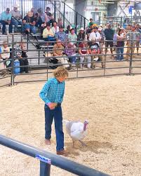 Madeleine Donovan (@madeleinechgo) • Instagram photos and videos