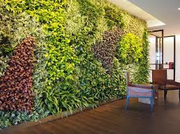 Pin On Plant Wall