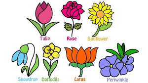 15 5 Flower Drawing Gallery Flower Drawing Flower Drawing For Kids Simple Flower Drawing