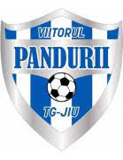 Information and translations of viitorul in the most comprehensive dictionary definitions resource on the web. Acs Viitorul P Targu Jiu Club Profile Transfermarkt