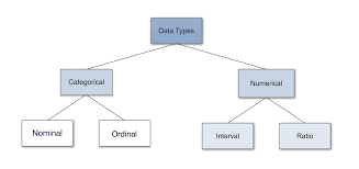 data types in statistics towards data science