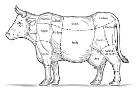 Maybe you would like to learn more about one of these? Rib Eye El Rey De Los Cortes De Carne Saltillo360