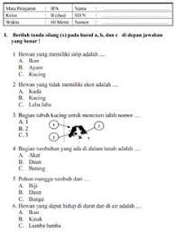 Pin Di Words