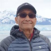 Hoshang Ratan Pestonji Obituary (2024)