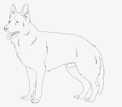 There have been asking this questions lately, which is perhaps because they are noticing some color changes in their german shepherd. Download German Shepherd Coloring Pages Line Art Free Transparent Clipart Clipartkey