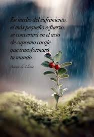 Pin De ｋａｍｉｌｅ ｋａｗａｉｉ En Reflexiones Frases De Sabiduria Tarjetas De Pensamientos Pensamientos De Exito